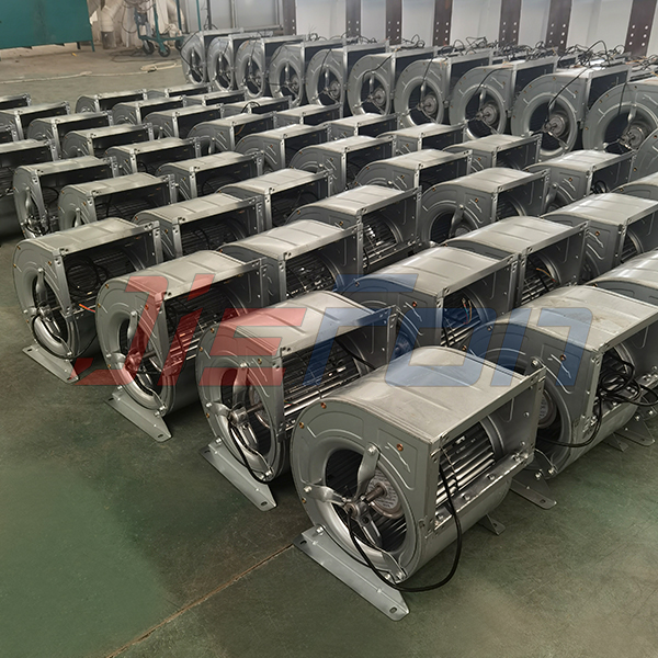 1685928397172354.jpg 565.jpg